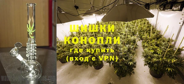дживик Пестово